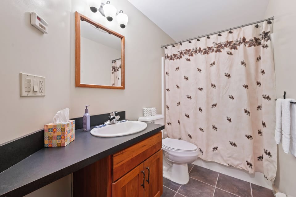 Main Floor Full Bathroom
