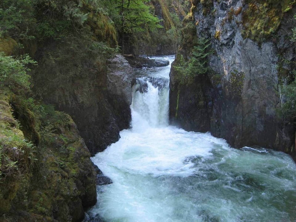 Nature lover's paradise