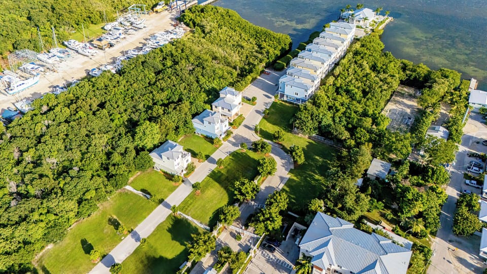 DJI_20241031165520_0503_D