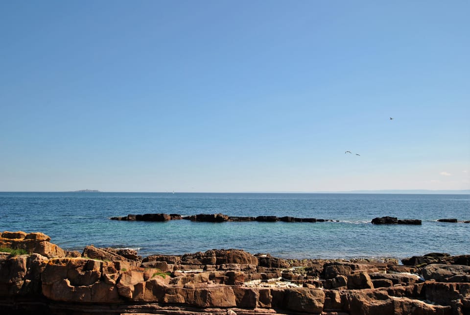 From seabirds to sailing boats, there’s plenty to admire about this view