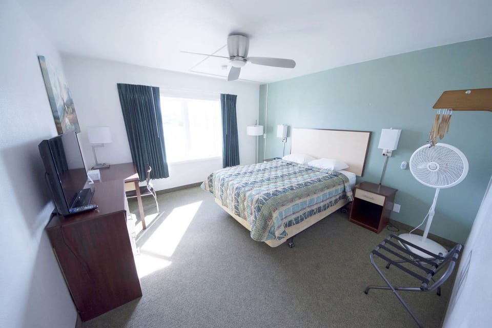 Spacious room with bed, TV, desk and fan
