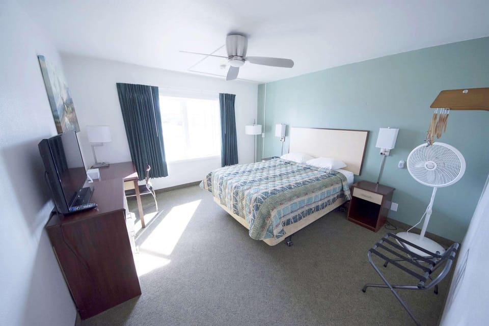 Spacious room with bed, TV, desk and fan