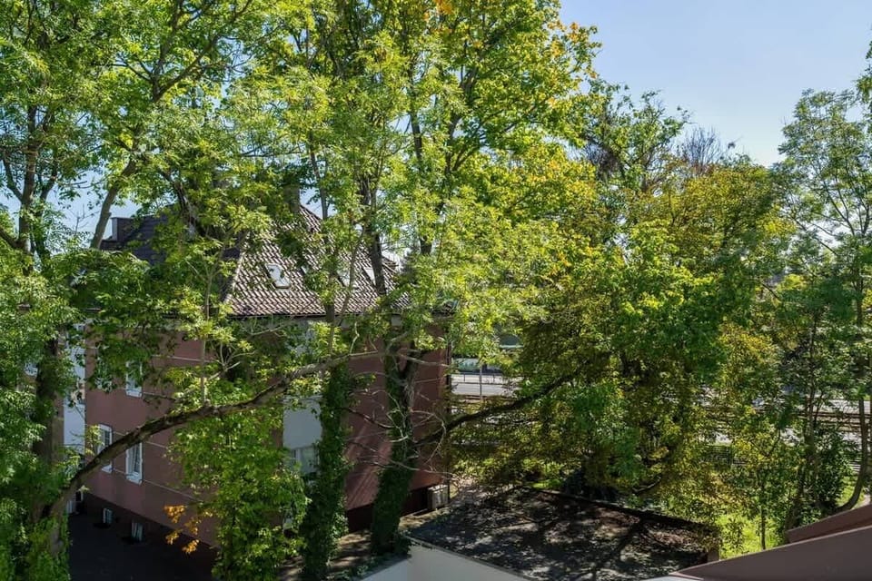 A view of lush greenery and trees from the property, offering a tranquil and natural environment.

