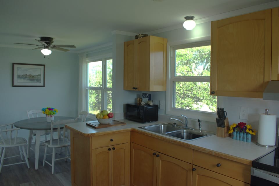 Backyard views from the kitchen/dining areas