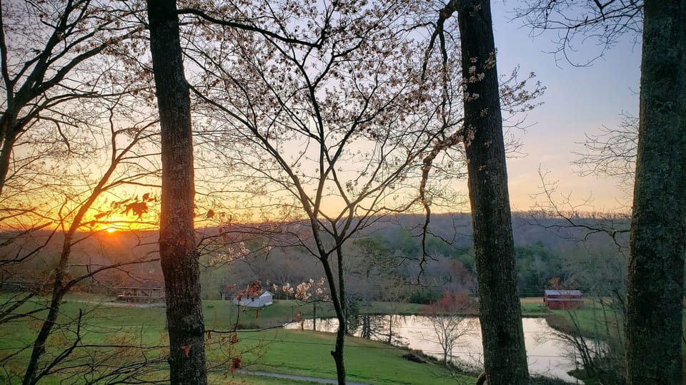 Sunrise view from the New Perspective platform 20 feet in the trees
