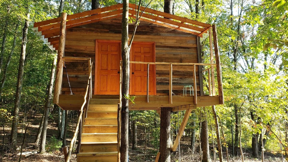 Treehouse Shower