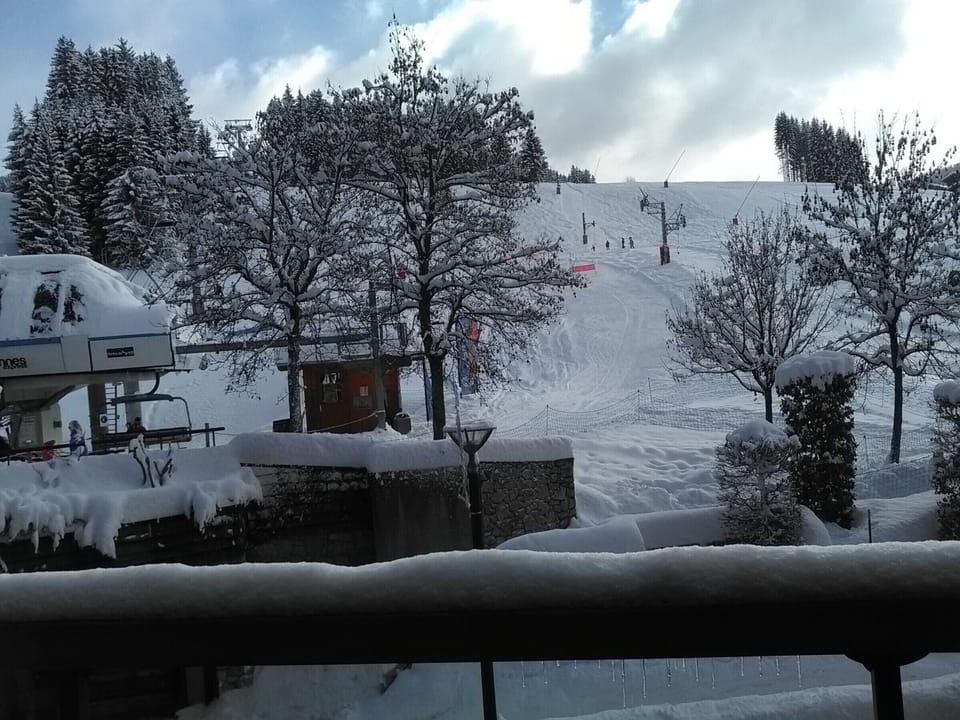 View from property