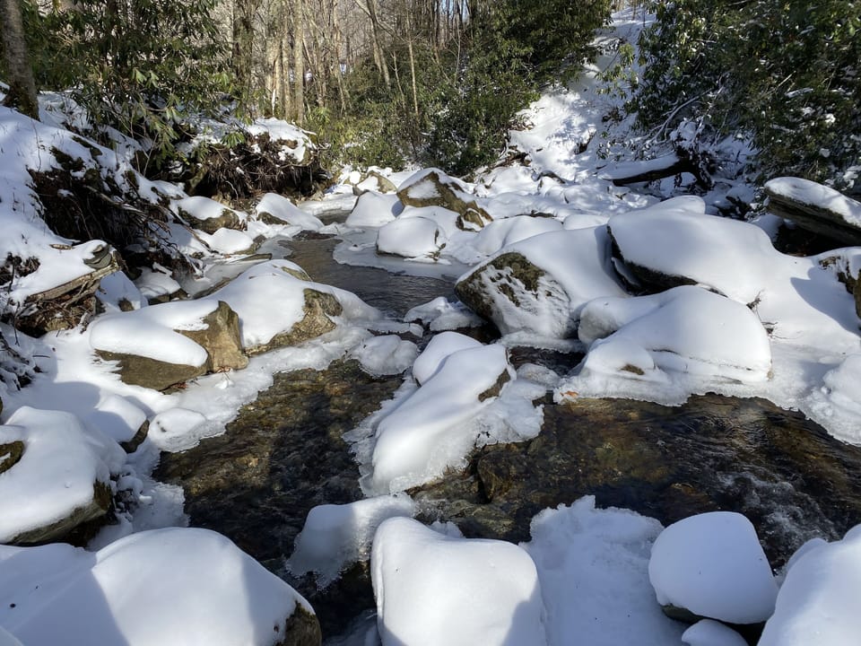 Shanty Creek – Backyard in the Snow