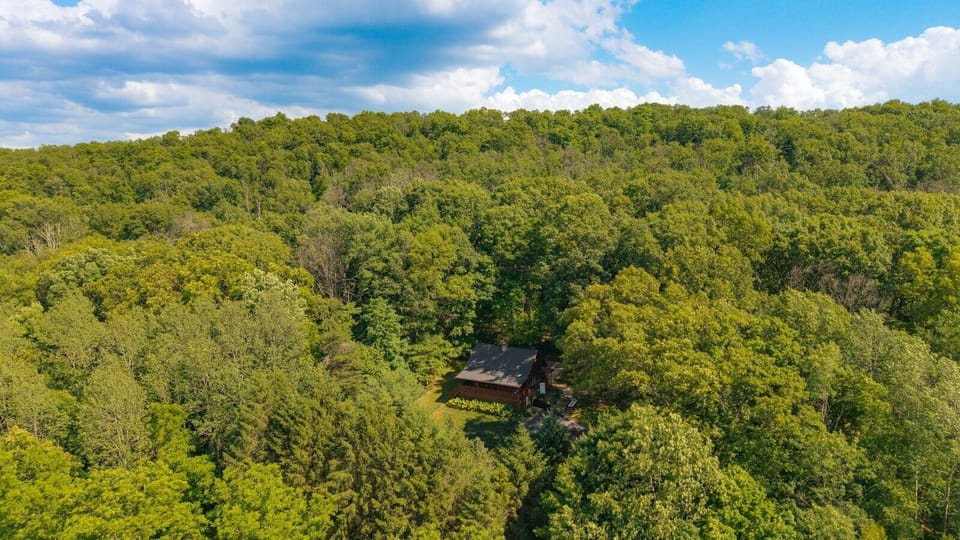 Bird`s Eye View