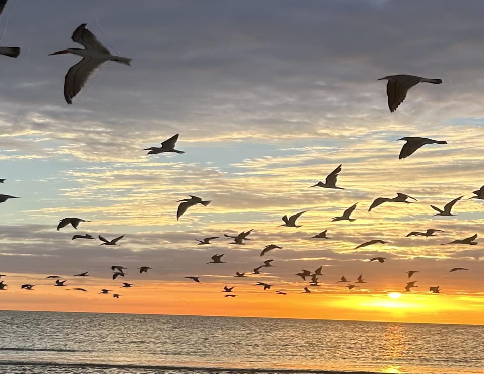 Sunset View