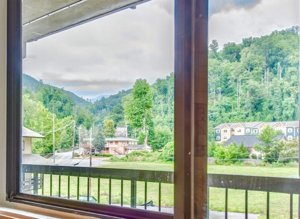 View from living room window 