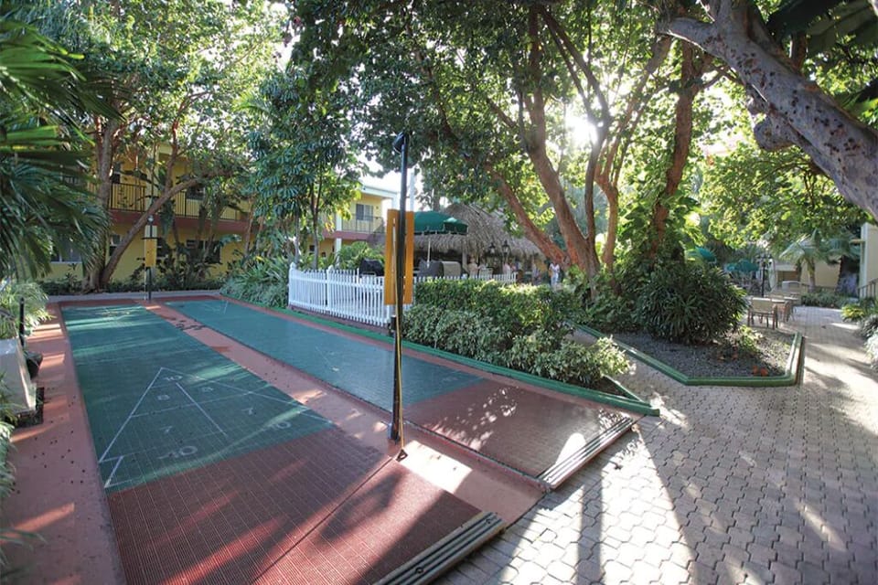 Sport court