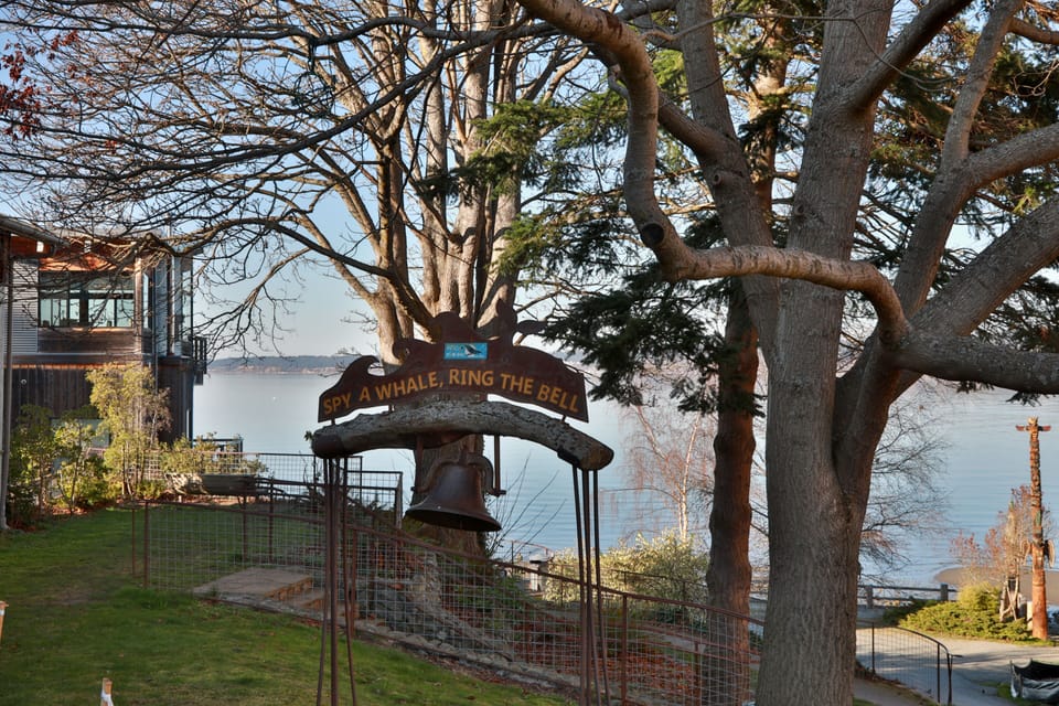 Whale watching spot.