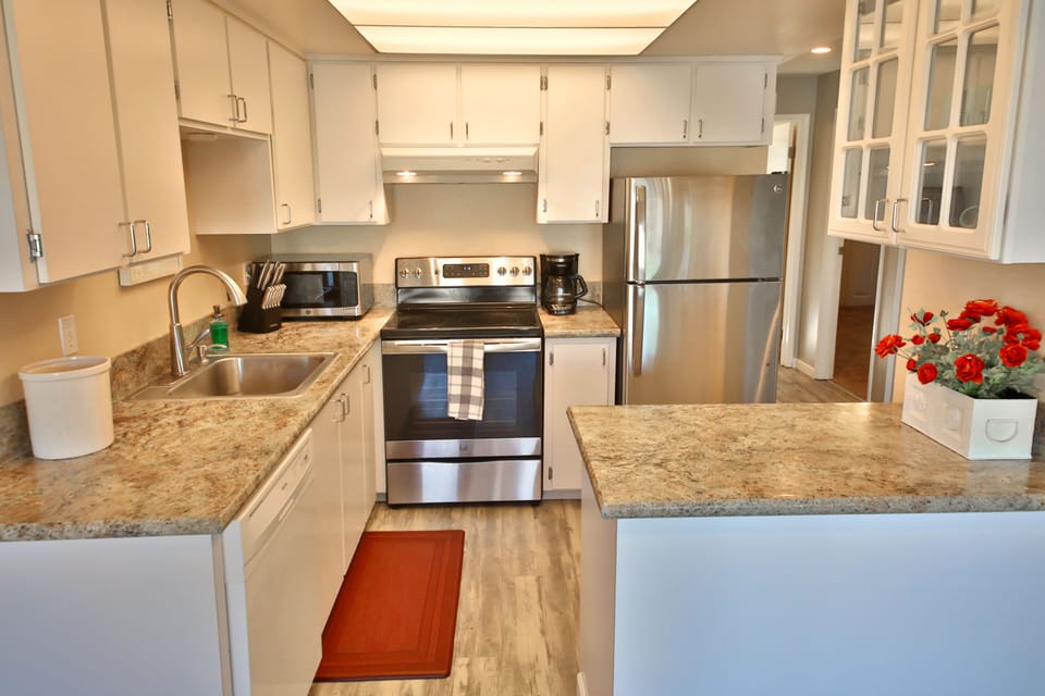 Modern chef's kitchen