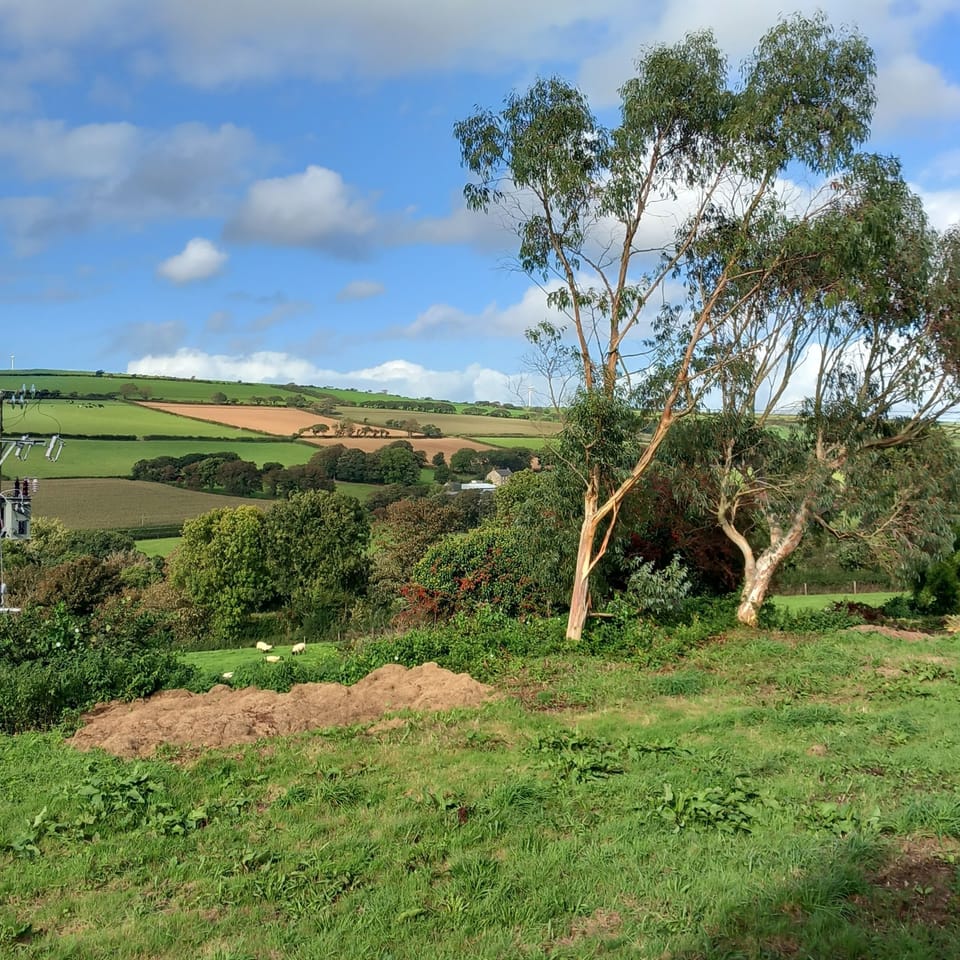 view
