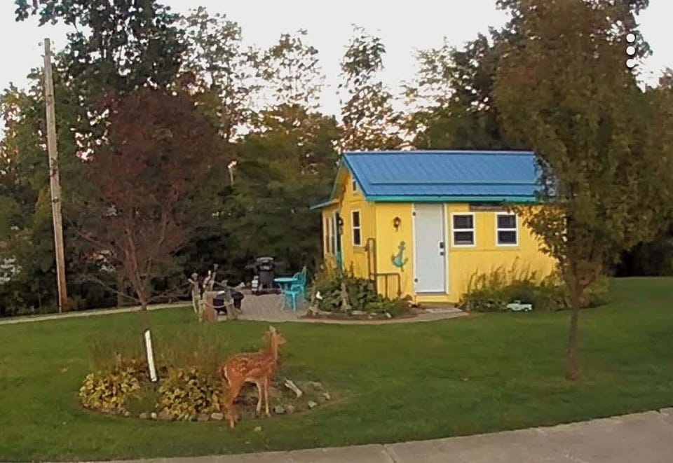 Sometimes at dusk or dawn we get some deer around the property. 