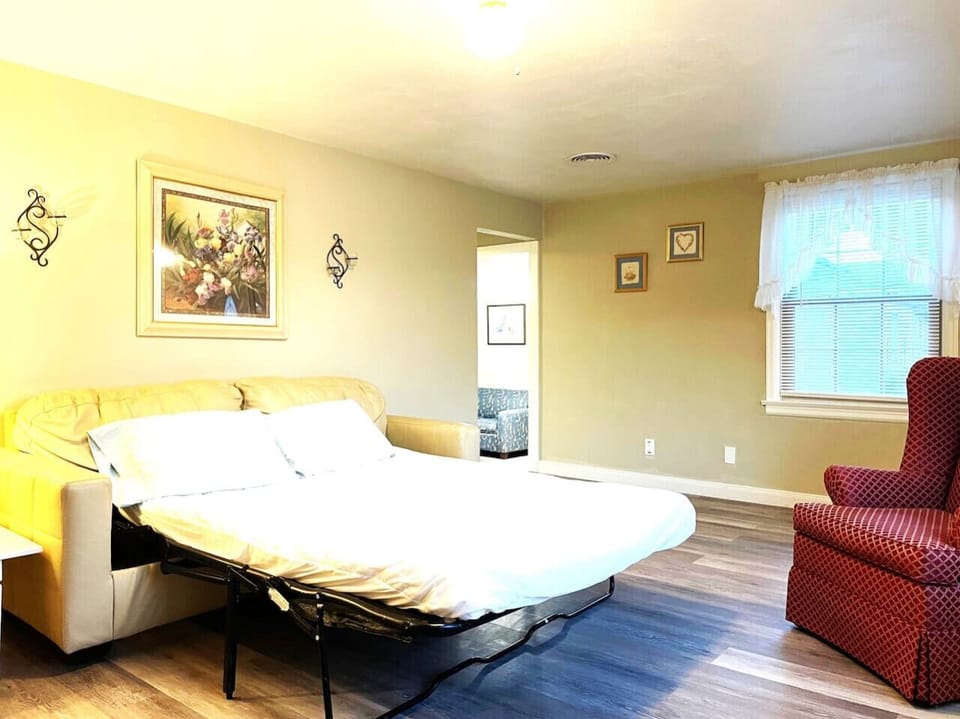 Queen Pull out Sofa Bed in Living Room