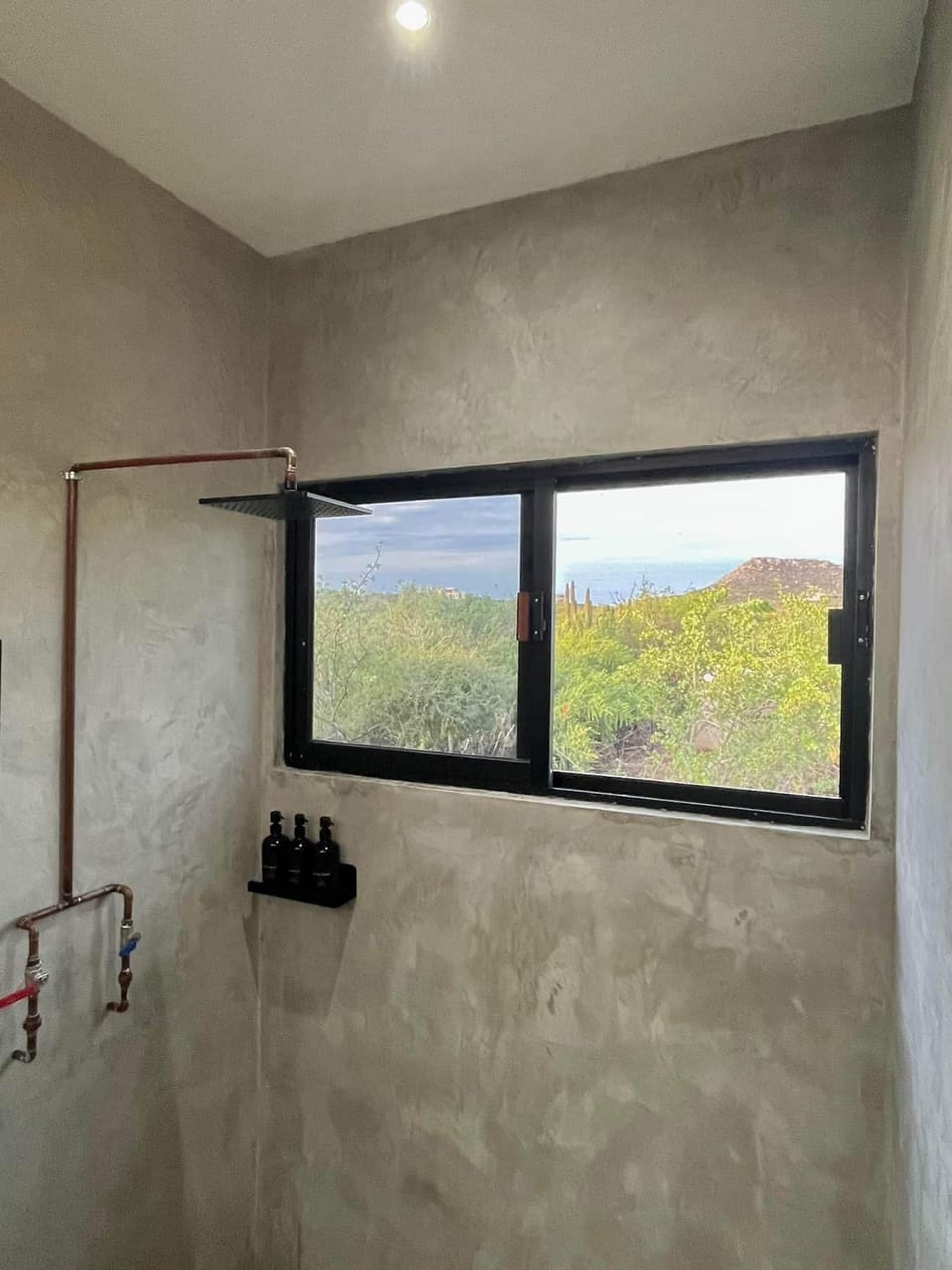 Shower vistas