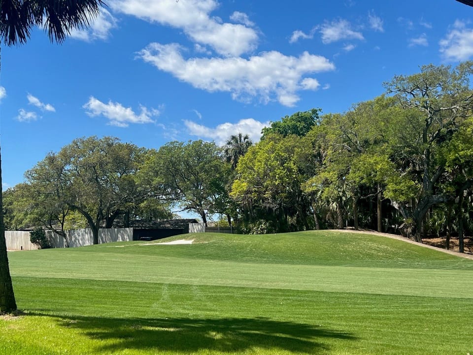 Enjoy stunning views of the lush Lowcountry and spot abundant wildlife around the golf course. Palm trees and scenic ponds make every hole picturesque!