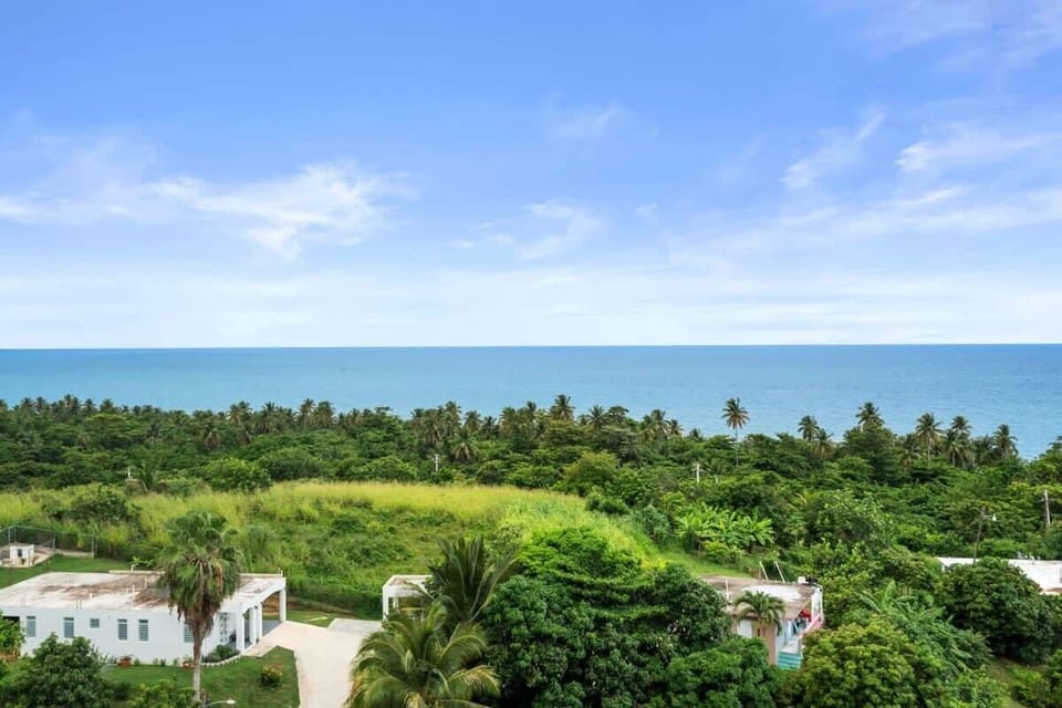 The spectacular view from the terrace