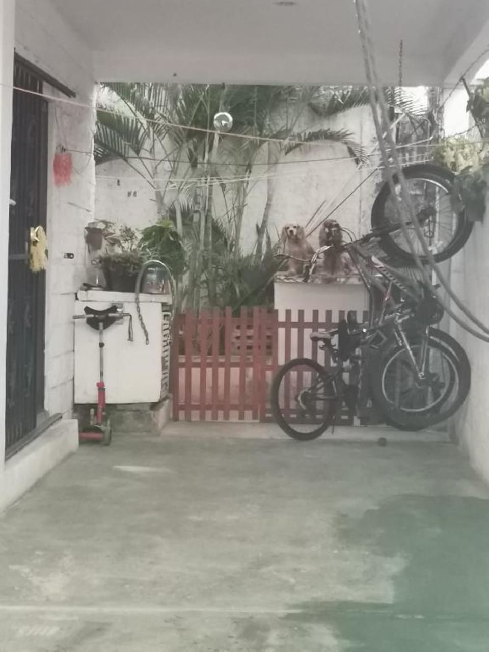 Property grounds