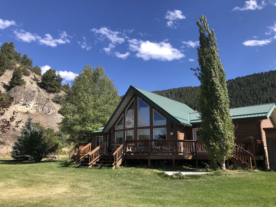 back yard