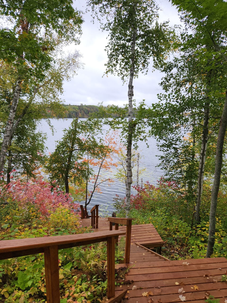 View from property