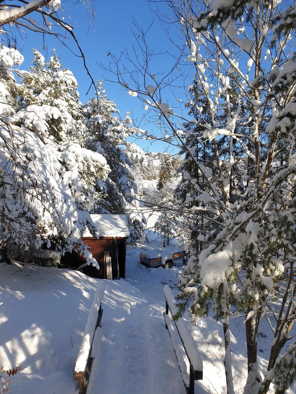 Snow and ski sports