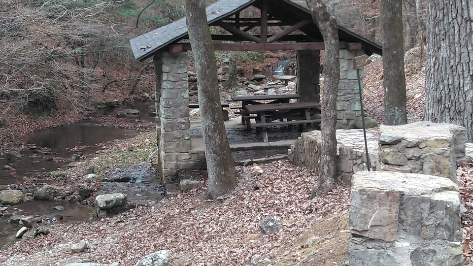 Collier Springs by Mt. Ida