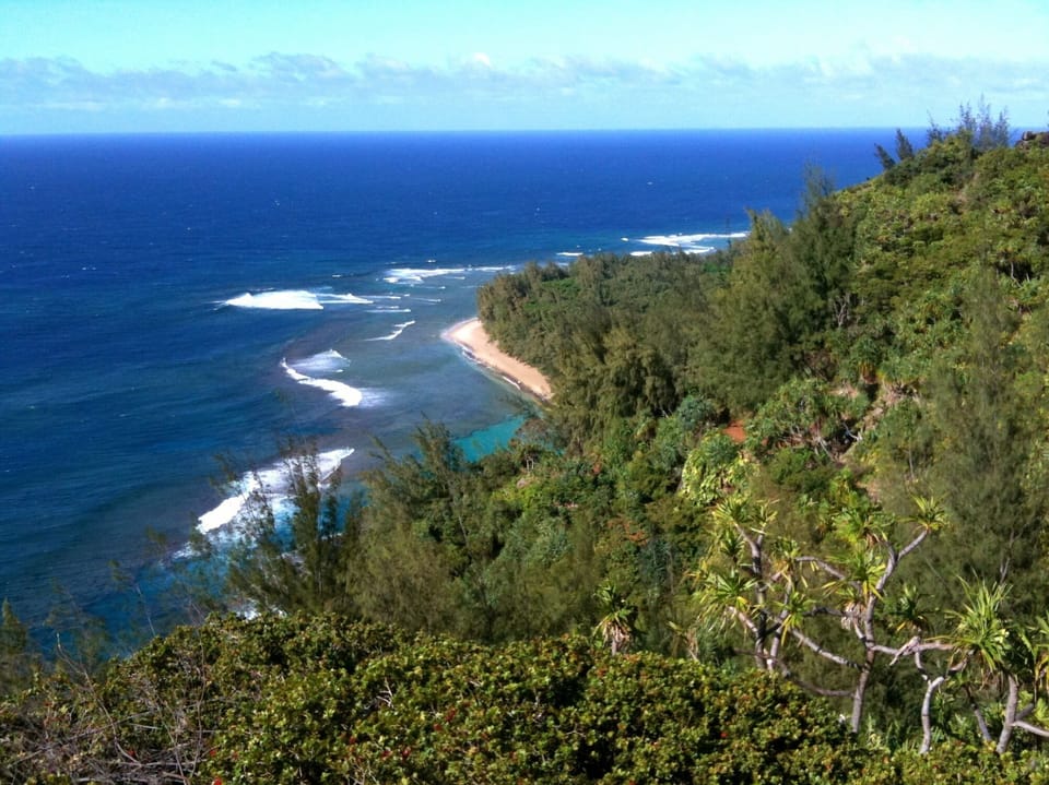 Explore dramatic coastal overlooks and watch waves crash below.
