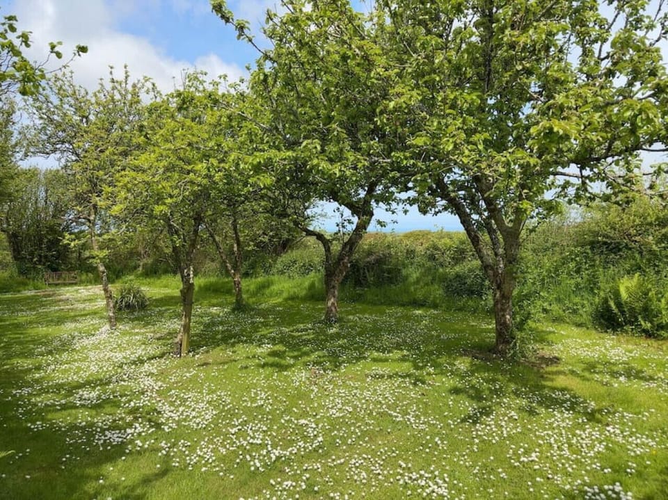 Garden Area