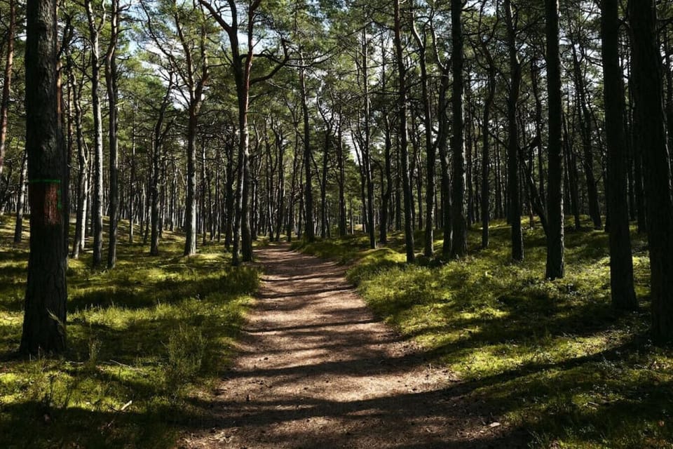 a walk through the streets of the complex