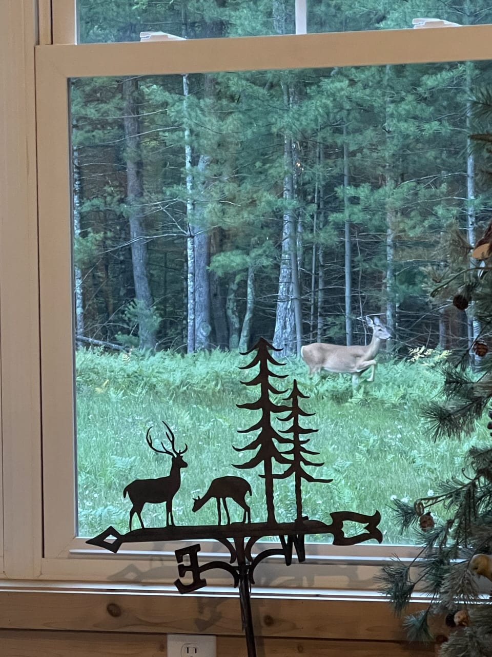 View from property