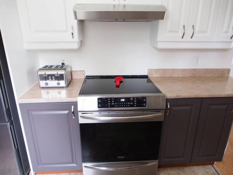 Stainless induction cooker