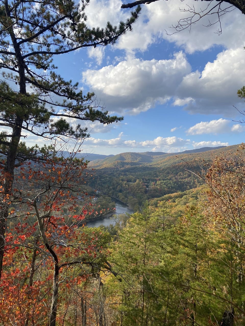 view from Lover's Leap trail