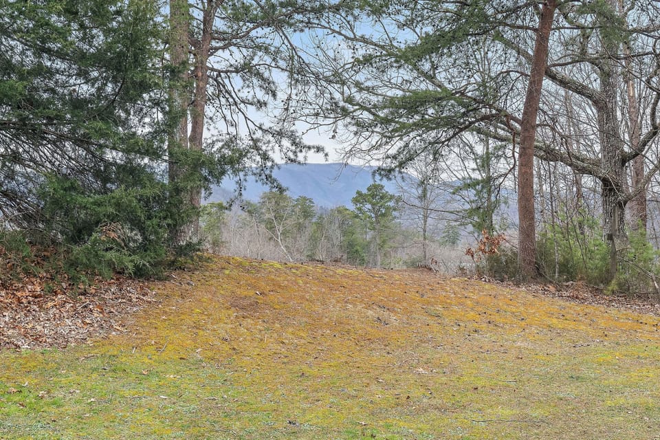View from the back patio.