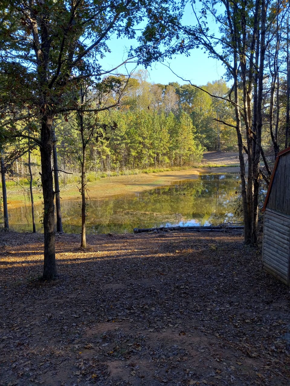 Lake view 