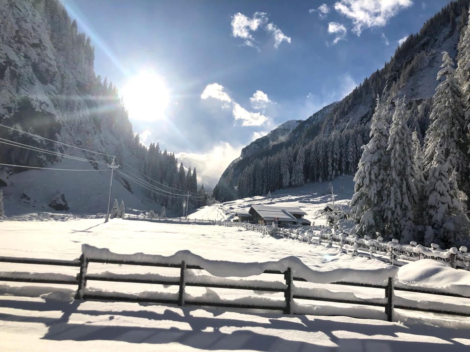Immediate Surroundings [winter] (<1 km)