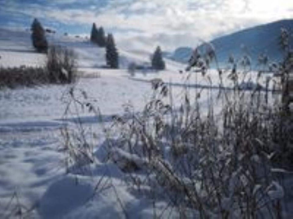 Snow and ski sports