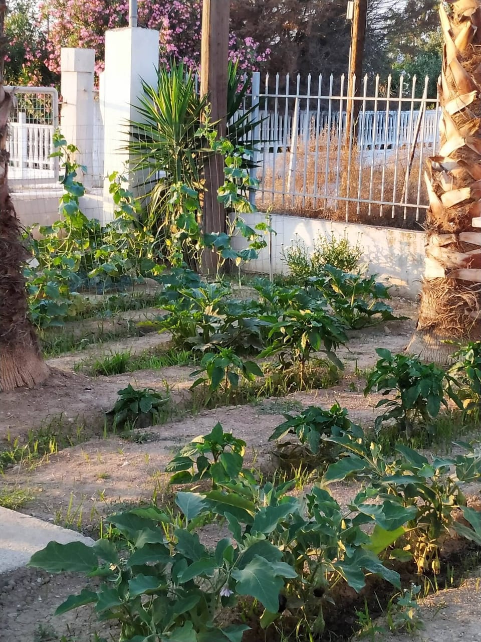 Property grounds