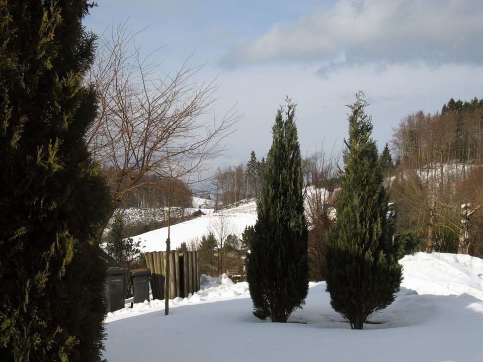 Immediate Surroundings [winter] (<1 km)