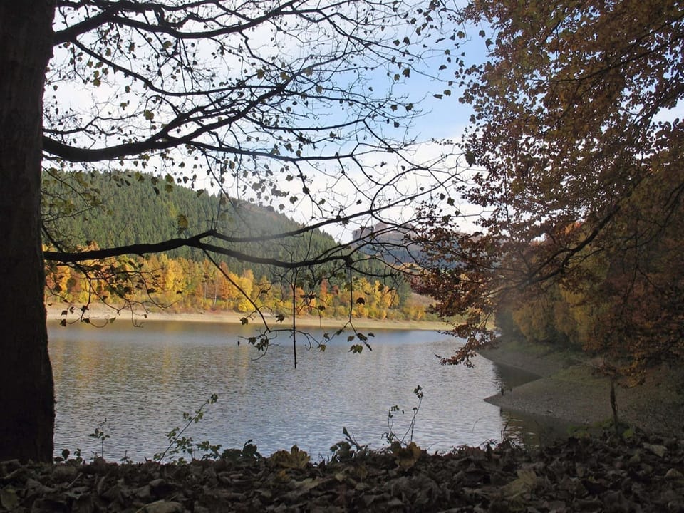 Surroundings [summer] (1-5 km)