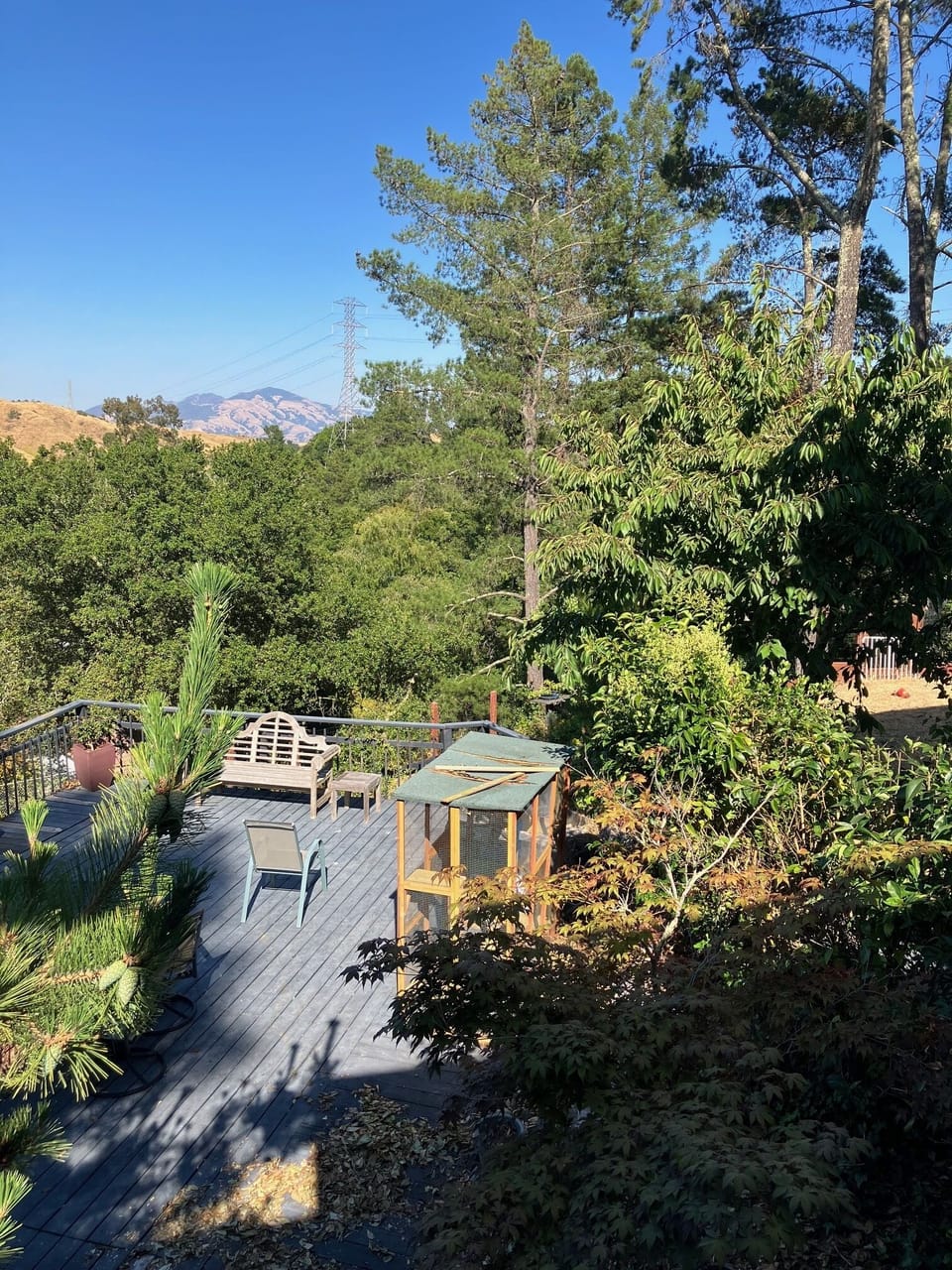 View from deck