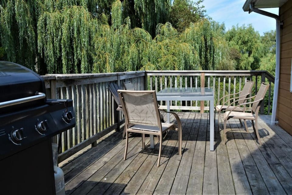 View off of the W/O balcony in the back facing the BBQ and Dining table