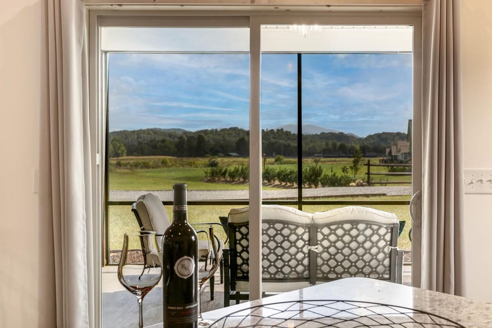 View from kitchen island through porch door