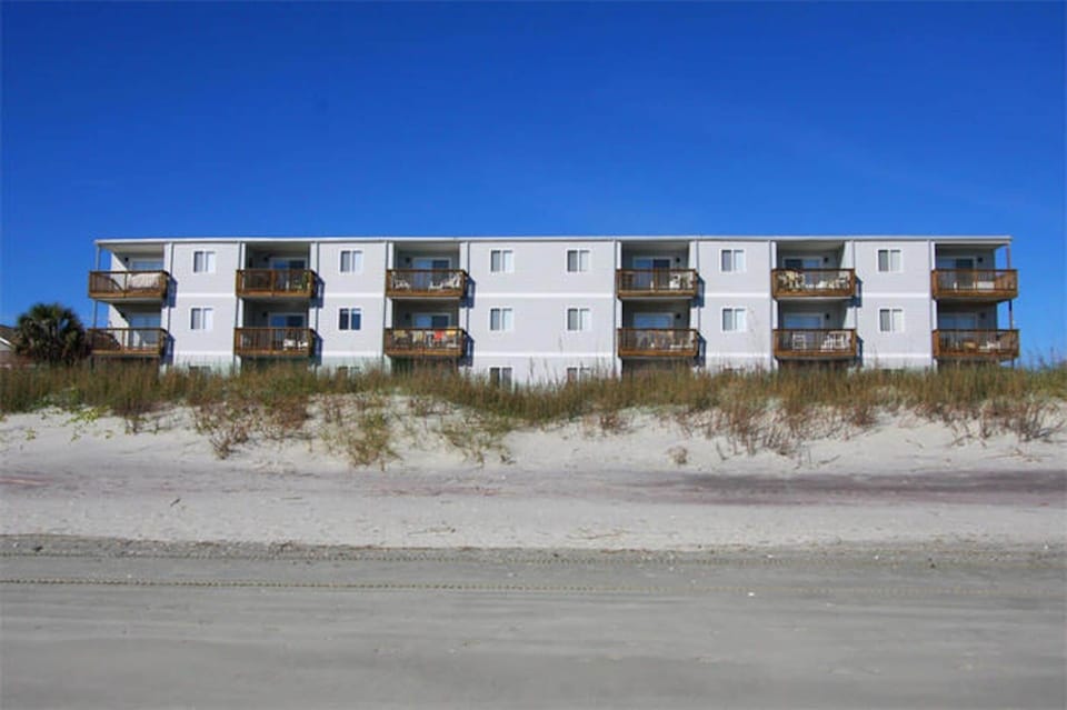 Take an early morning walk on the beach and search for seashells.