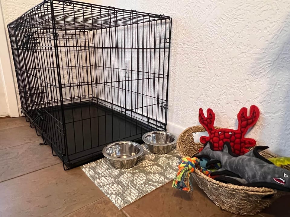 Our dog area is ready and set up for each guest upon arrival.