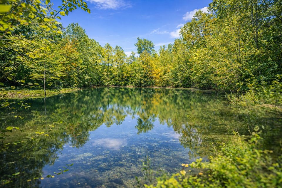 Pond