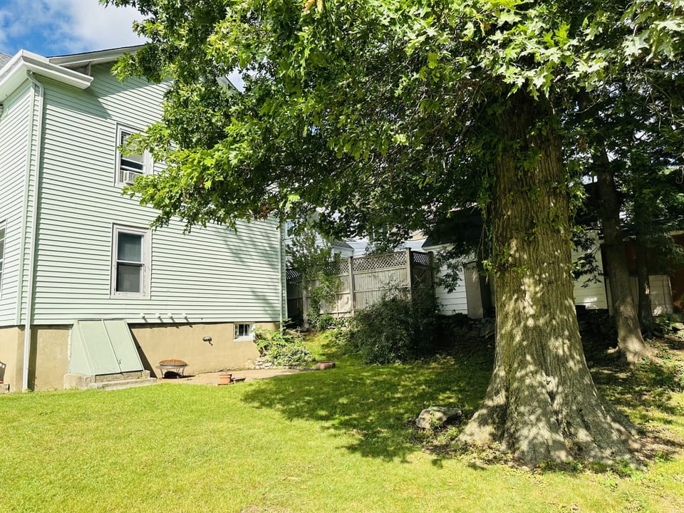 back yard