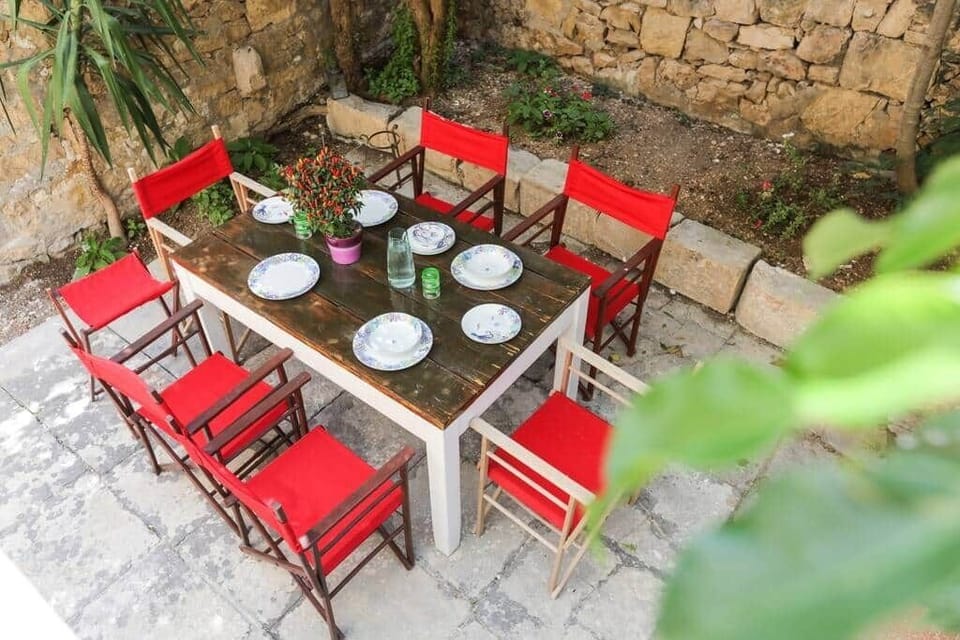 The Shared Garden 